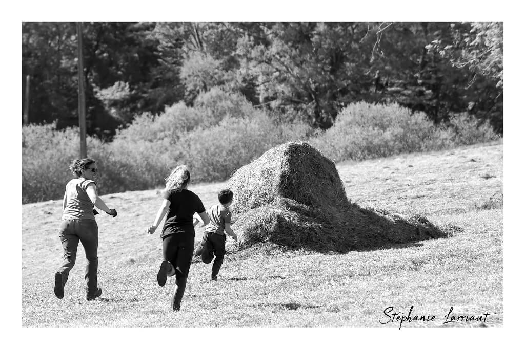 Reportage photo Bazas Langon Marmande - Larriaut Photos - Galerie 2 La bazadaise TOUT UN ELEVAGE 14