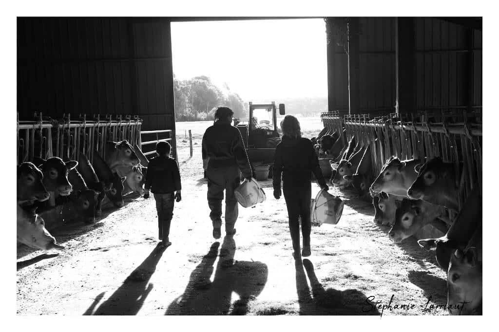 Reportage photo Bazas Langon Marmande - Larriaut Photos - Galerie 2 La bazadaise TOUT UN ELEVAGE 18