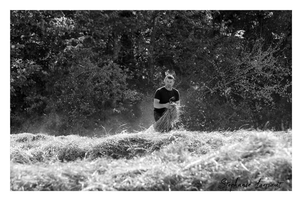 Reportage photo Bazas Langon Marmande - Larriaut Photos - Galerie 2 La bazadaise TOUT UN ELEVAGE 19