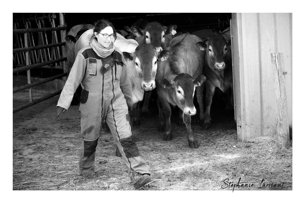 Reportage photo Bazas Langon Marmande - Larriaut Photos - Galerie 2 La bazadaise TOUT UN ELEVAGE 7