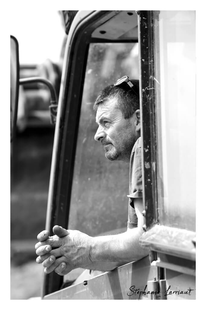 Reportage photo Bazas Langon Marmande - Larriaut Photos - Galerie 2 La bazadaise TOUT UN ELEVAGE 8