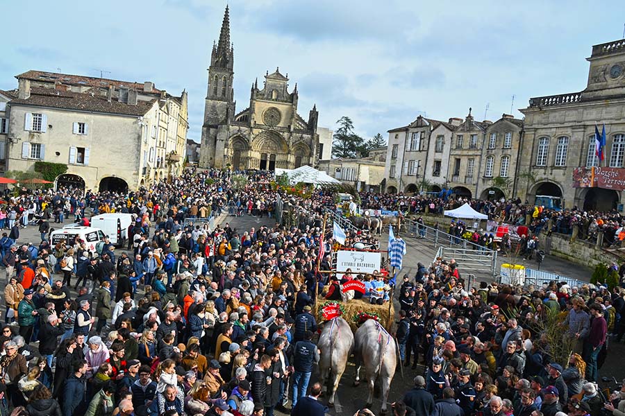Reportage photo Bazas Langon Marmande - Larriaut Photos - image 2